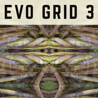 PP021 Evo Grid 3