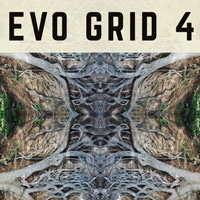 PP025 Evo Grid 4