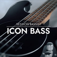 Native Instruments Session Bassist Icon Bass