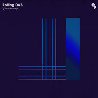 Sample Magic Rolling DnB
