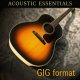 Acoustic Essentials vol.1