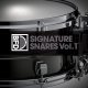 BFD Signature Snares Vol.1 [DVD]