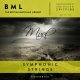 BML Mural Symphonic String Ensembles