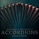 Best Service Accordions 2