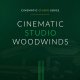 Cinematic Studio Series - Cinematic Studio Woodwinds [23 DVD]
