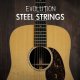 Evolution Acoustic Guitar Steel Strings [DVD]