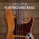 Evolution Flatwound Bass