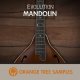 Evolution Mandolin