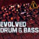 Evolved Drum And Bass