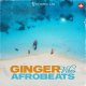 Fantastic Lab Ginger Vibes Afrobeats