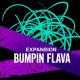 Native Instruments Expansion Bumpin Flava