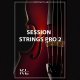 Native Instruments Session Strings Pro 2