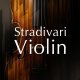 Native Instruments Stradivari Violin v1.1