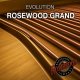 Orange Tree Evolution Rosewood Grand mkII