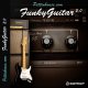 Pettinhouse FunkyGuitar 2.0