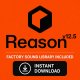 Reason v12.5