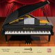 Sound Magic Red Wings Piano