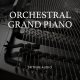 Spitfire Orchestral Grand Piano [DVD]