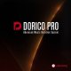 Steinberg Dorico Pro v3.5