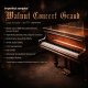 Steinway Walnut Concert Grand Pro [2 DVD]