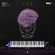 Thenatan Brain Intelligent Synth v1.0