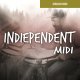 Toontrack Indiependent MIDI