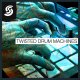 Twisted Drum Machines