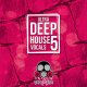Vandalism Ultra Deep House Vocals 5