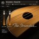 Versilian Studios The Strumstick
