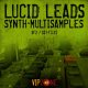 VipZone Multisamples Lucid Dreamer Leads