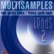 VipZone Multisamples vol.2 - Leads 2