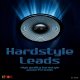 VipZone Multisamples vol.5 - Hardstyle Leads