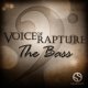 Voice of Rapture The Bass