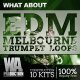 What About: EDM Melbourne Trumpet Loops [DVD]