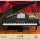 Sound Magic Red Wings Piano